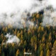 The Glass Clouds Single