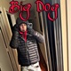 Big Dog Single