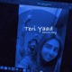 Teri Yaad Single