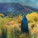 California Poppy 10 Year Anniversary Edition Single
