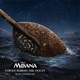 Moana Voices Across The Ocean Music Inspired By