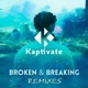 Broken Breaking The Remixes