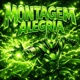 MONTAGEM ALEGRIA Slowed Single