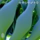 Pickle Water EP