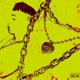 Straight Off Tha Lot feat Ned Beats Single