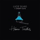 Home Truths Remix Single
