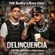 Delincuencia Single