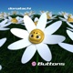 buttons Single