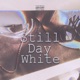 Still Day White