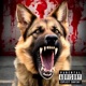 Ain t Worried feat DJ Chase Single