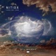 Nitida Single