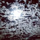 Bat Tune Single
