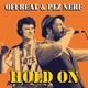 Hold On feat Plz Nerf Single
