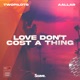 Love Don t Cost a Thing Single