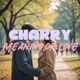 Meaning of love Single