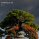 Universales EP