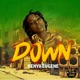 Down Single