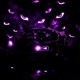 SOMBRA DO GROOVE EP