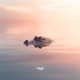 Kaïman Single