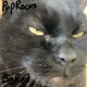 Poprocks EP
