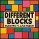 Different Blocks feat D N B Robert Single