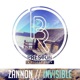 Invisible Single