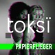 Papierflieger Single