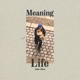 Meaning of Life Dub Version Dub Version Single