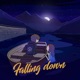 Falling Down Single