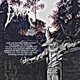 The Scarecrow Walks At Midnite Single