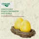 Safe World Single