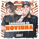 Sarradinha na Novinha Single