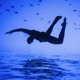 Float Single
