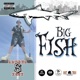 Big Fish Single