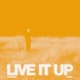 Live It Up Bushbaby Remix Single