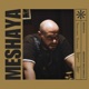 Meshaya Single