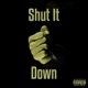 Shut It Down Single