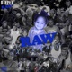 The RAW Experience