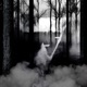 Into The Woods