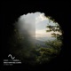 A Clear View Single