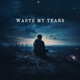 Waste My Tears Single