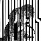 404 feat Noisy Single