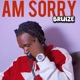Am Sorry Single