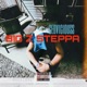 Big Z Steppa Single