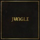 Julia Soulwax Remix Single