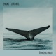 Dancing Whales Single