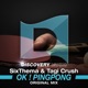 OK PingPong Single
