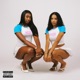 Settle Down feat RT2 Single