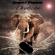Protector Single