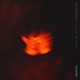Problems Single